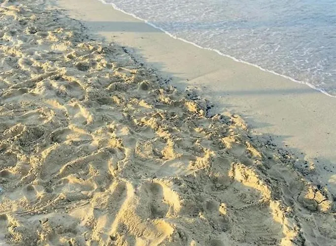 Letizia's House Lejlighed